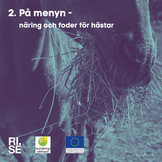 På menyn - näring och foder till hästar