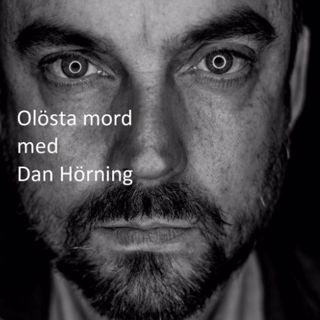 29. Sven Sjögren del 1 Anmäld försvunnen