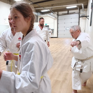 Episode 45: Common Myths About Karate and Other Martial Arts (Part 2 of 2)