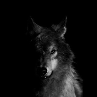 Ep. 62 - Ditt nabolag - din psykiske helse