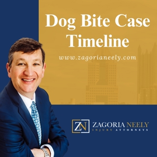 What Happens in a Dog Bite Case in Georgia From Start to Finish