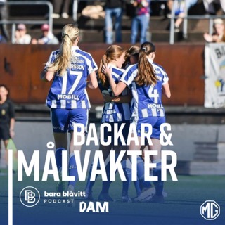 724. Backar & Målvakter
