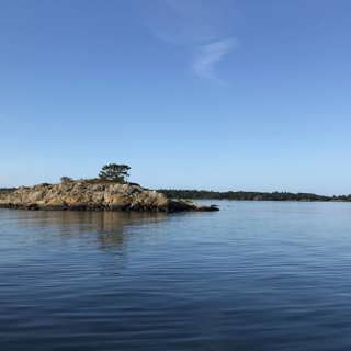 Minskande övergödning i Östersjön