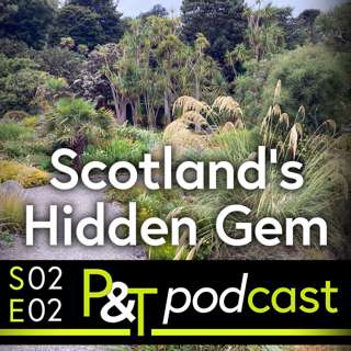 Marrow Musings, Logan House, Scotland's Hidden Gem and Rhododendron Resuscitation!