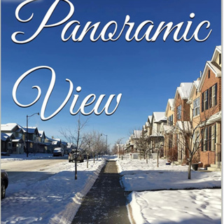 Panoramic View Volume 15 Boldly White by Daniel Lucas