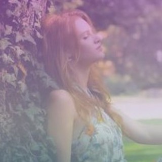 #14: How to Harness the Healing Powers of Trees.