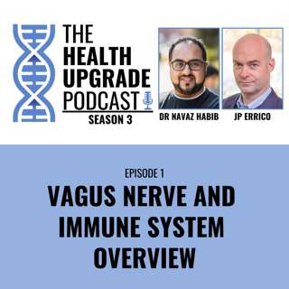 Vagus Nerve and Immune System Overview