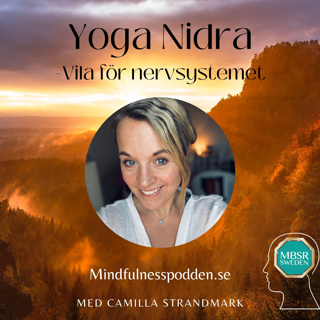 Yoga Nidra - Vila för nervsystemet (20min) 🐚