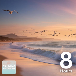🌊 Ocean Waves and Seagulls (8 Hours) | Coastal Relaxation for Stress Relief