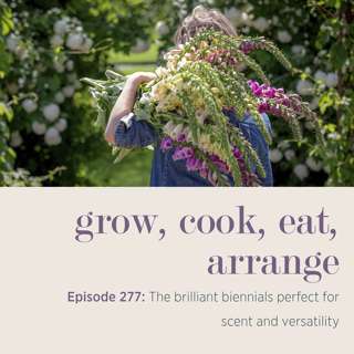The brilliant biennials perfect for scent and versatility - Episode 277
