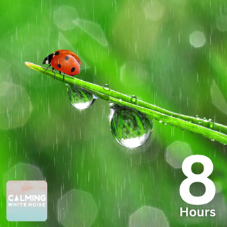 Soft Rain on Leaf Sounds (8 Hours) | Relaxing Rain Sounds for Sensitive Sleepers