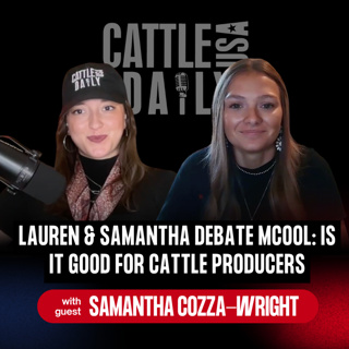 387: Lauren & Samantha Debate MCOOL: Is It Good for Cattle Producers?