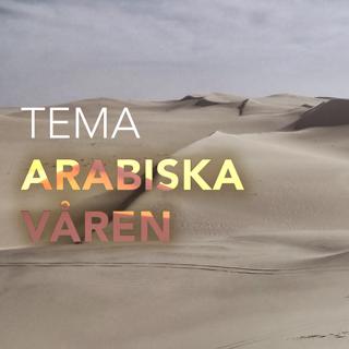 Temastart! Vi pratar Arabiska Våren