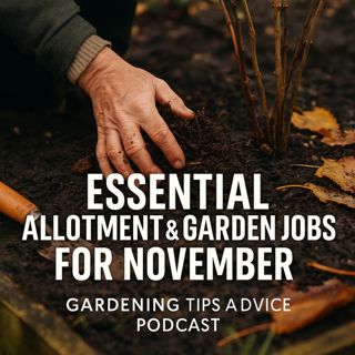 🎧 Essential Allotment & Garden Jobs for November | Gardening Tips & Advice Podcast