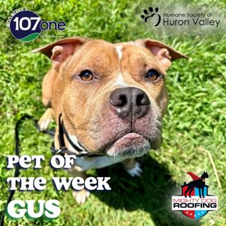 a2VV: HSHV Pet of the Week 7/31/25