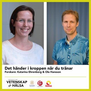 Det händer i kroppen när du tränar