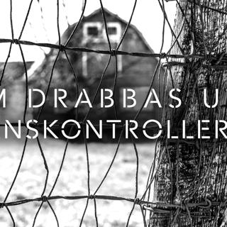 Vem drabbar gränskontrollerna?