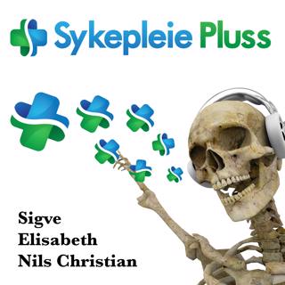 Skjelettet på 5 min