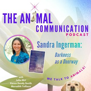 Darkness as a Doorway with Sandra Ingerman