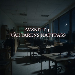 Avsnitt 3: Väktarens nattpass