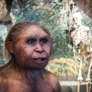 Nya fynd ändrar bilden av vår evolution