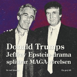 En grej till: Donald Trumps Jeffrey Epstein-drama splittrar MAGA-rörelsen