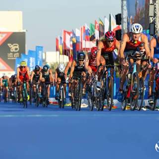 Royle Weddings, Short Course World Champs and a 2:30 Marathon