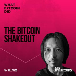 The Bitcoin Shakeout - Jan '21 Trading Update with Willy Woo - WBD305
