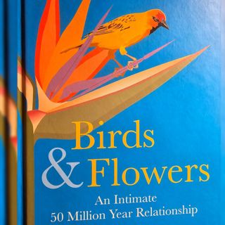 Pollination Systems & Bird Pollination with Jeff Ollerton