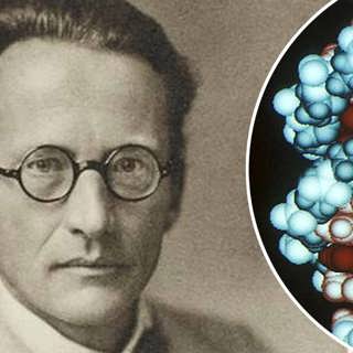 Fysikern Schrödinger väckte biologins ödesfrågor (R)