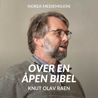 Guds identitet - Knut Olav Raen (E2630-1)