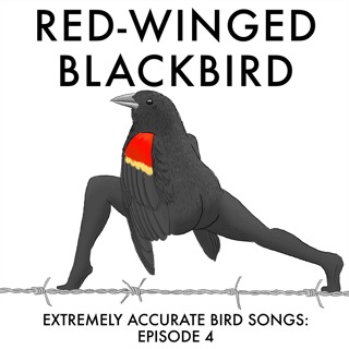 Red-winged Blackbird
