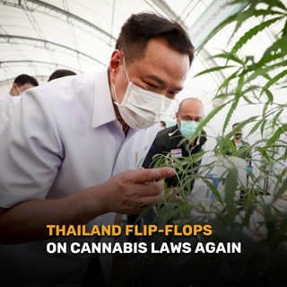 Good Morning Thailand EP.704 | Thailand Flip-Flops on Cannabis Laws Again & More..