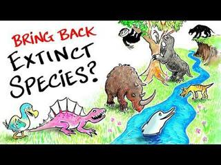 Should We Bring Back Extinct Species? | After Skool
