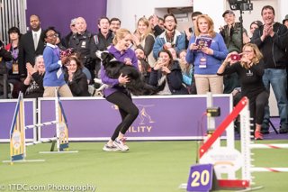 238: Westminster 2020 Preview