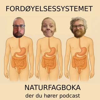 Fordøyelsessystemet