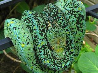 Chondro talk with Marcial Mendez