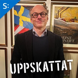 Ole Settergren om pensionsfrågor