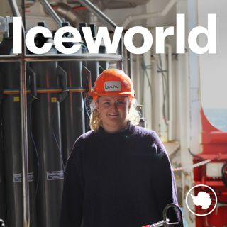 S4: Women at the poles - with Jane Francis, Jo Johnson, Katy Rumm, Vicky Auld, Laura Taylor, and Kat Turner