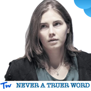 Amanda Knox - what’s in her words? Part 2