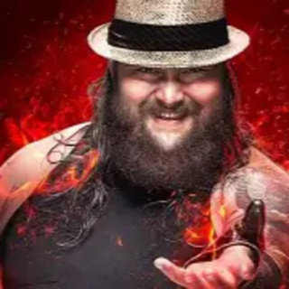 Life of Bray Wyatt Part 1
