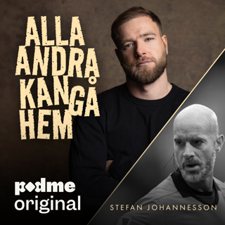 Stefan Johannesson: "Vi finns för att 22 män inte kan bete sig"