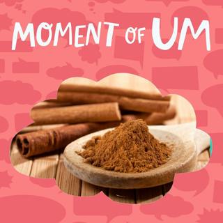 Where does cinnamon come from?