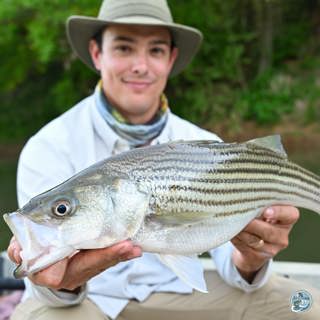 S8, Ep 29: Fishing in Flux: Matt Reilly's Take on Spring Trends and Techniques