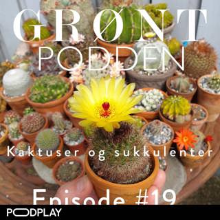 #19 Kaktuser og sukkulenter - misforståtte skjønnheter