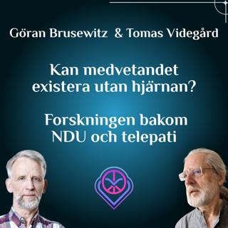 Kan medvetandet existera utan hjärnan? Forskningen bakom NDU och telepati