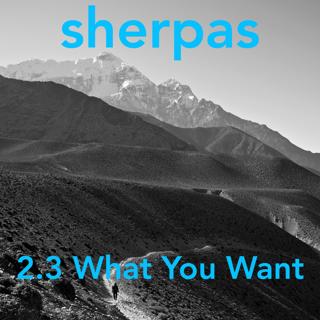 2.3 What You Want