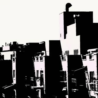 Of Birds and Boundaries