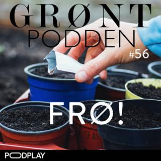 #56 Frø - ambisjoner vs virkelighet