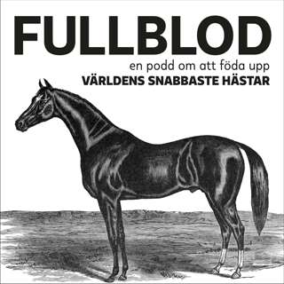 rss-fullblod